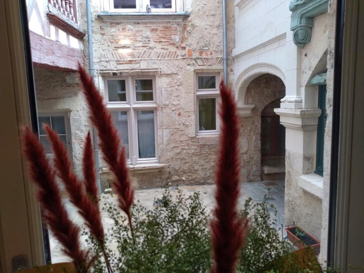 Passage Du Cygne Apartman Blois Kültér fotó