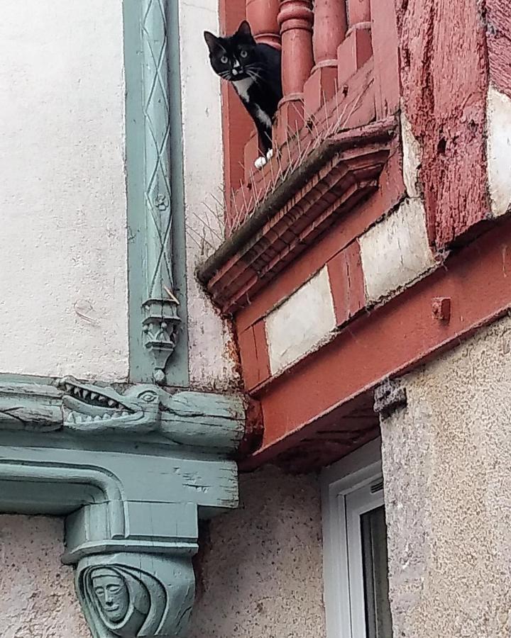Passage Du Cygne Apartman Blois Kültér fotó